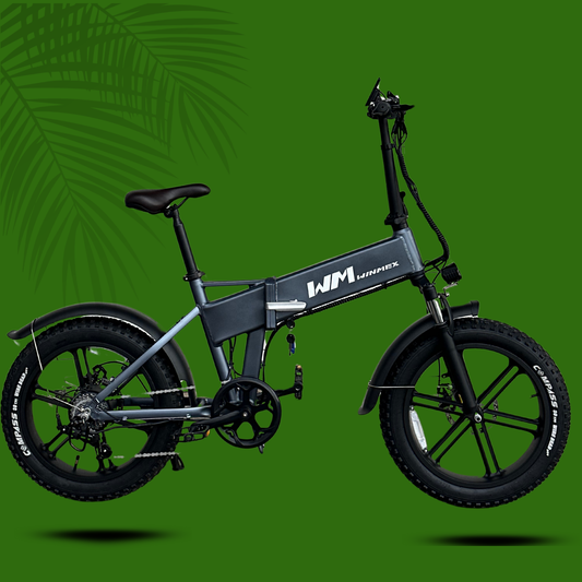 Bicicleta de alto rendimiento