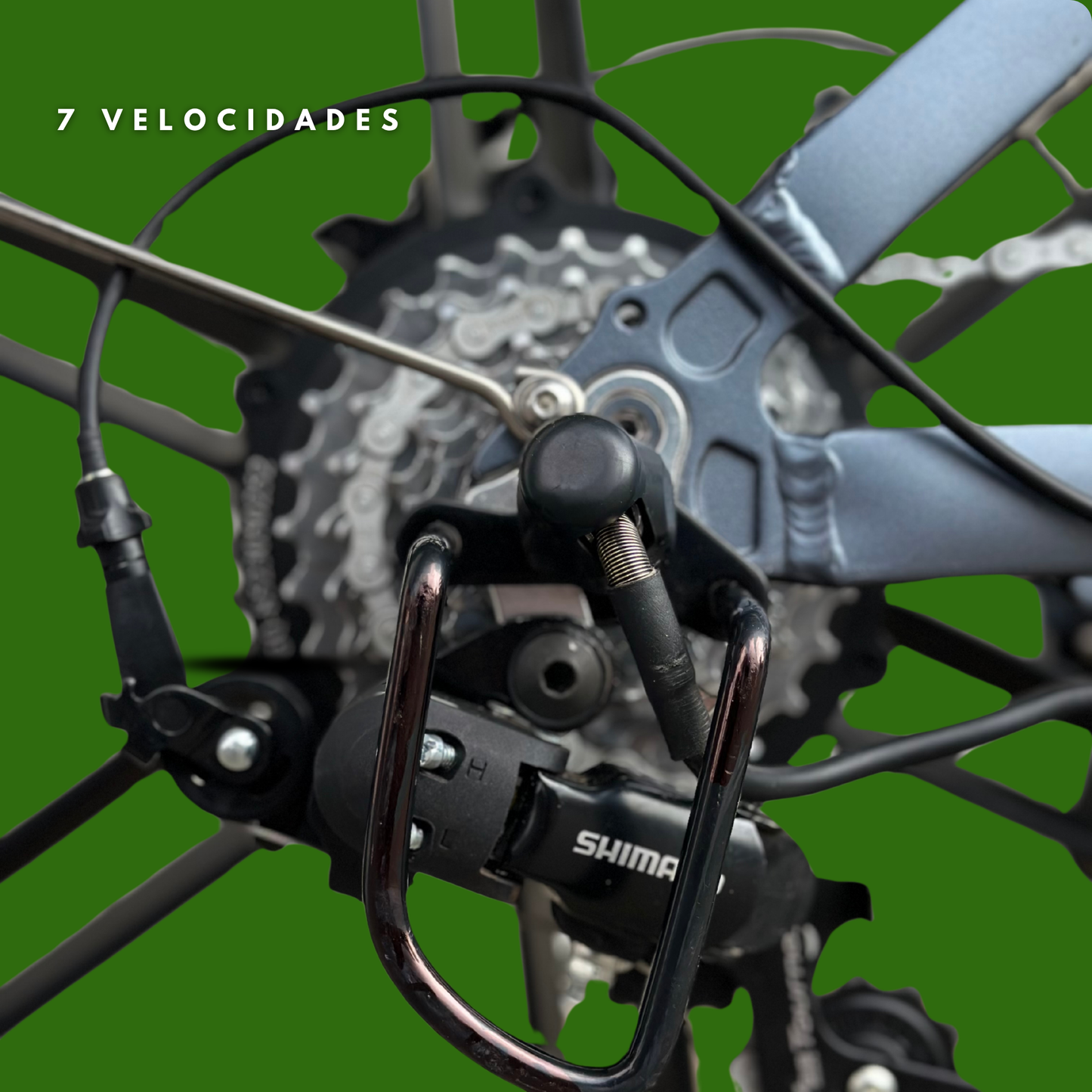 Bicicleta de alto rendimiento